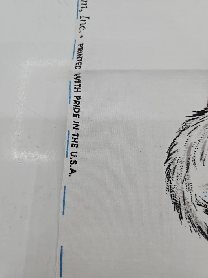 Chrismas Fabric Panel Frontier Santa Daisy Kingdom Maggie Raguse 6987 20x12"  - Image 3 of 4