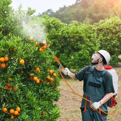 20L Weed Sprayer Mist/Duster Gas Powered Pesticide Backpack Agricultural Tool