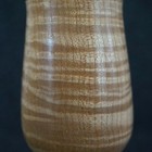 Foto 6 di 17