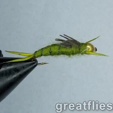 1 dozen (12) - Kaufmann's Stonefly Nymph - OLIVE - Bead Head