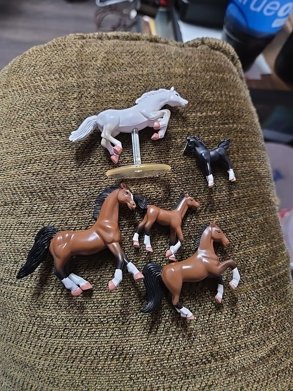 1998 Empire Micro Mini Grand Champions Oldenburgs Set Lot Of 5 Used From 2000