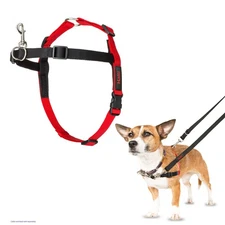HALTI Front Control Harness, Size Small, Professional Dog Harness to Stop Pullin