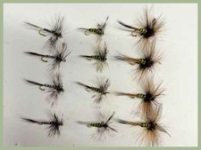 18 Pack Greenwell Dry Flies- Winged, Grey Hen, Grey Hen Variant, Mixed Sizes