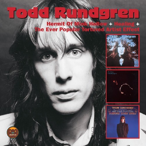 Hermit of Mink Hollow / Healing by Todd Rundgren (CD, 2012) for sale ...