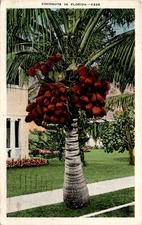 Florida, United States, Franklin, Portage, Gilmanton Iron Works, Myra, Postcard