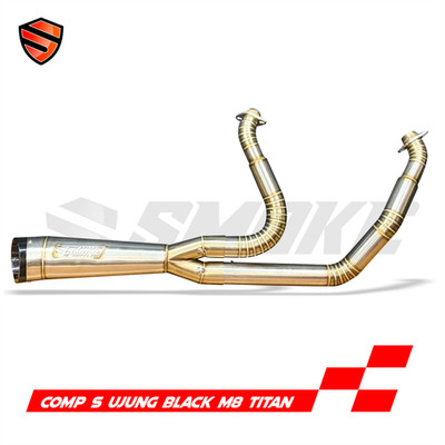 Fit for 2012-2017 Harley Davidson Dyna Low Rider FXDL Exhaust System Pipes 2-1