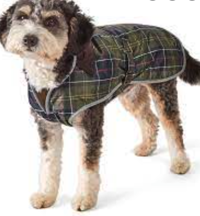 Barbour Waterproof Tartan Dog Coat MSRP95 BRITISH LUXURY Great GIFT