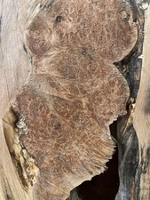 Live Edge Burr Maple Slab
