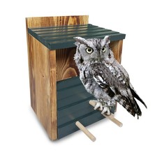 Owl House Screech Bird House For Outdoor Owl Nesting Box With Premium Carbonized