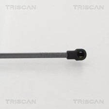 Verin de hayon / de capot Audi S8