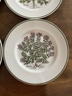 Tiffany & Co Herbs Salad Plates Set of 4 Johnson Brothers England Ceramic — photo 4