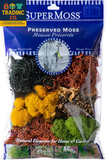 (23309) Moss Mix – Premium Decorative Moss for Crafts, Terrariums, Wedding & Tab