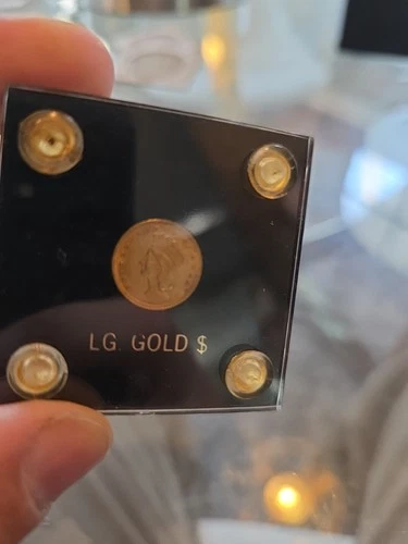 1874 One Dollar Gold Indian Princess Head Coin