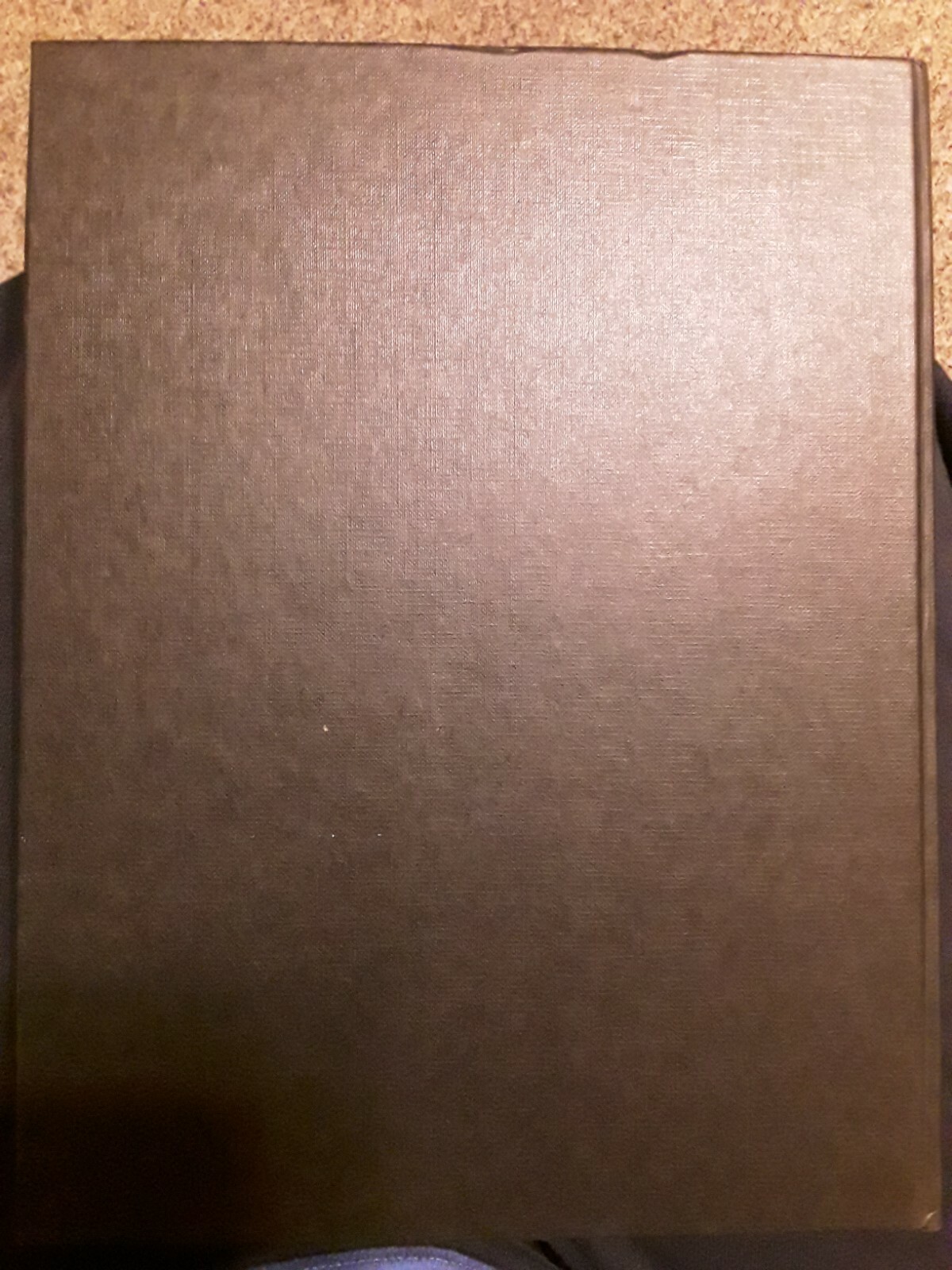 Picture 5 of 5