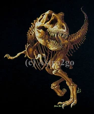 T-REX SKELETON--Tyrannosaurus Dinosaur Bones Fossil Science T Shirt sizes S-3XL