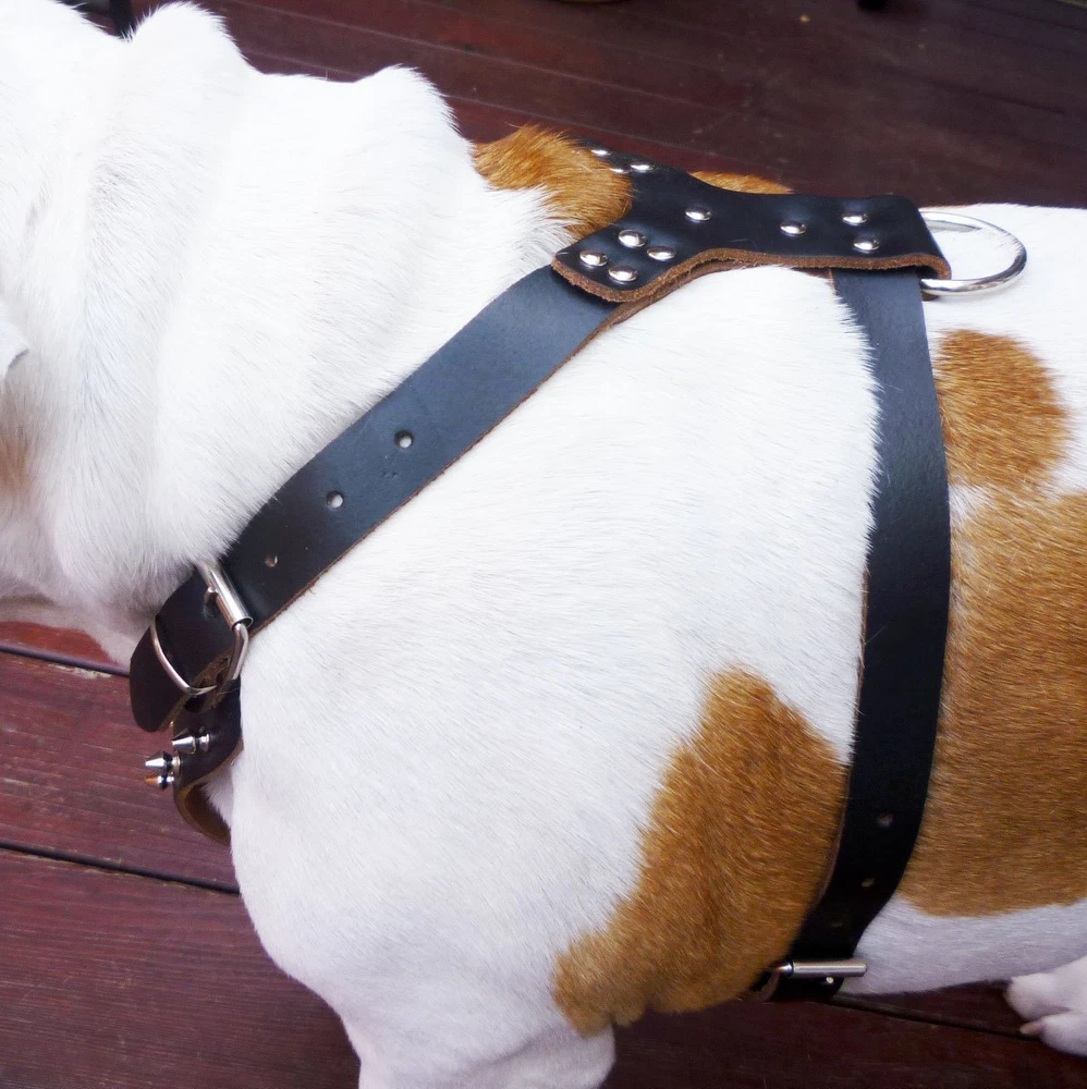 Dog Harness Spiked Studded PU Leather Pitbull Mastiff Boxer Bully Chest 26~34"