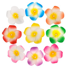 27 Pack Hawaiian Flower Hair Clips for Women, Foam Plumeria Alligator Clips w...