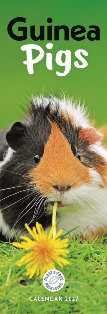 Guinea Pigs (PFP)Slim - Image 3