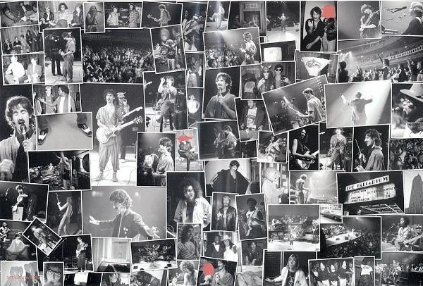 Frank Zappa - An Evening With Frank Zappa During Which...The Torture Never Stops - Imagem 3 de 4