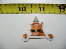 FUNNY CAT KITTEN SMALL STICKER DECAL PARTY TIME PET FELINE FUNNY