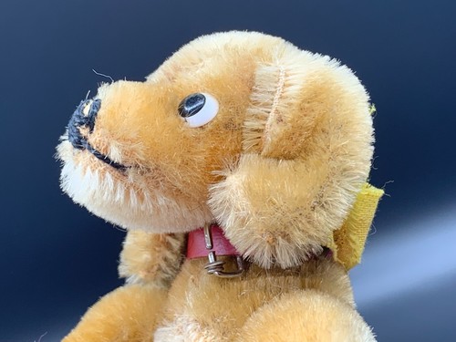 1950's German Steiff Mohair Hexie Dachshund Dog Button Flag Red Leather Collar - Picture 7 of 12