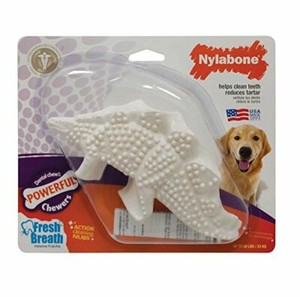 nylabone dino