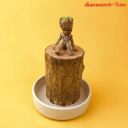 Groot Green Plant Brazilian Wood Water Raise Lucky Wood Potted Small Tree Peo UK - Picture 15 of 19