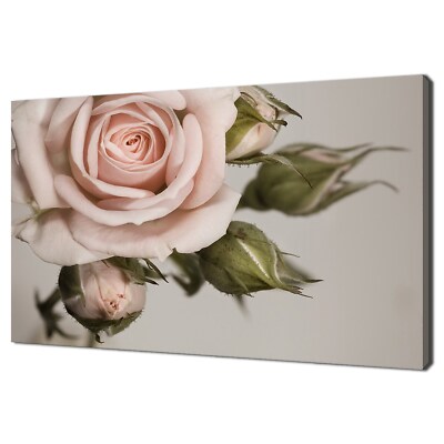 Schönes rosa Vintage Rose Blume modernes Blumendesign Wohndeko Leinwandbild