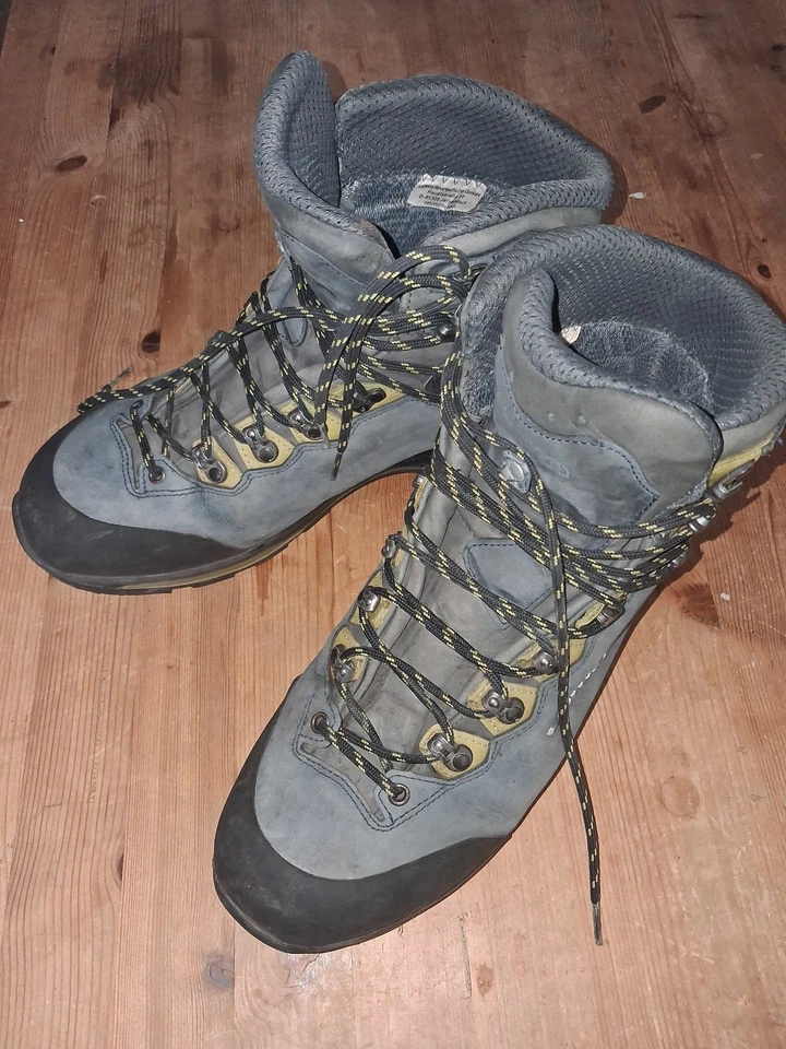 Wanderschuh – Lowa Camino Evo GTX – Herren, Gr. 46, von 08.2022