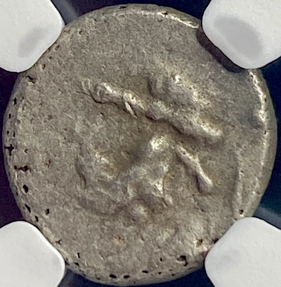 NGC Kingdom Of Elymais Silver Hemidrachm 54BC-32BC Kamnaskires genuino certificado Foto 2 de 4