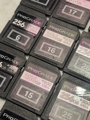 ProGrade Digital V90 256GB SDXC UHS-II Memory Card - Lot of 4 cards