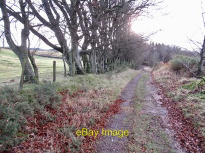 Photo 6x4 Golf Course Road Powmill/NT0298 The southern end, bedrock surf c2021