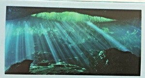 Top Fin Underwater Cave Static Aquarium/Fish Tank Cling, Large - 24" x 48"
