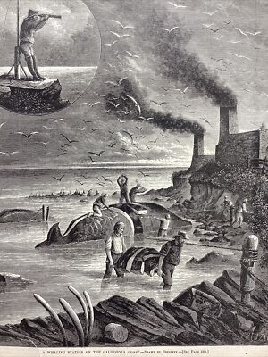 1877 WHALING STATION OFF CALIFORNIA COAST WHALE HUNTING PROCESSING BUTCHERS E