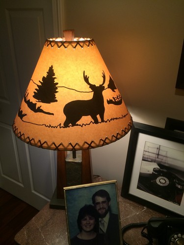 Rustic Lamp Shades Listed by Base Diameter Scroll Down For Sizing Options - Picture 2 of 21