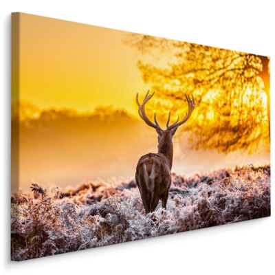CANVAS Leinwand Bilder XXL Wandbilder Kunstdruck Hirsch Wiese Winter Sonne 834