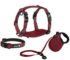 alcott Adventure Retractable Dog Leash or Harness or Collar - Red S - M - L