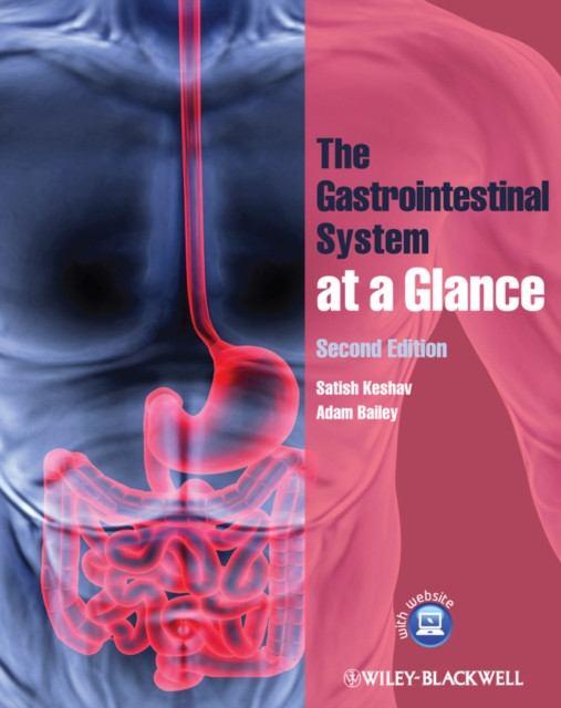 The Gastrointestinal System at a Glance by Adam  Bailey (Paperback Book)