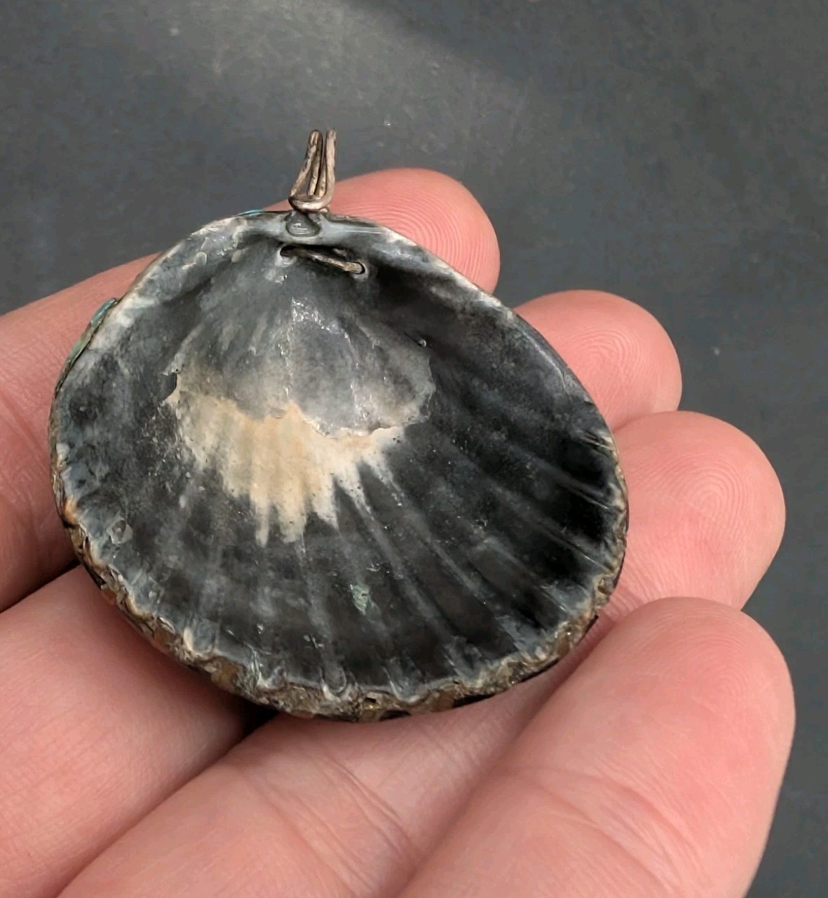 Santo Domingo Style Shell Seashell Turquoise Ston… - image 9