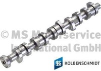 Kolbenschmidt 50006110 Nockenwelle FüR Vw
