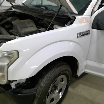 (LOCAL PICKUP ONLY) Driver Fender Without Wheel Lip Moulding Fits 15-20 FORD F15