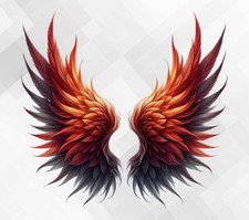 Wings Wall vinyl sticker decal pk840