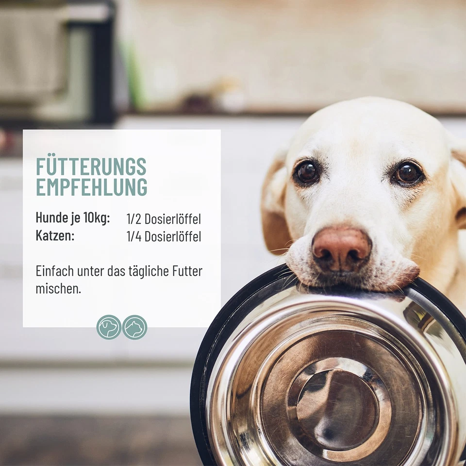 REAVET Denta Vital Zahnpflege Pulver für Hund & Katze 300g - Zahnsteinentferner - Bild 4 von 4