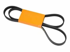 For 1994-1995 BMW 318is Accessory Drive Belt 23386ZX