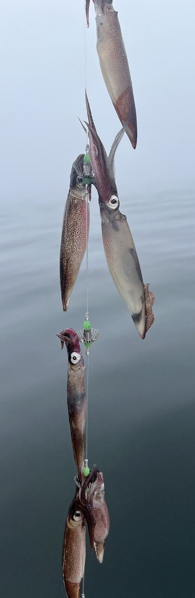 10 Ganci Calamari Jig Rigs Con Gangli: Attrezzatura Fluoro Leader Per Pesca Subacquea E Surfcasting
