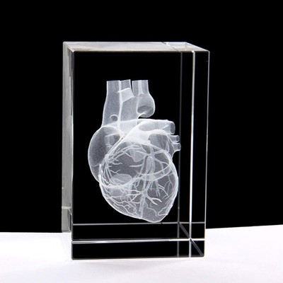 3D Human Heart Anatomical Model Laser Etched Crystal Glass Cube Paperweight Gift
