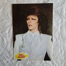 David Bowie Ziggy Stardust Vintage Poster Pop Rock Music 
