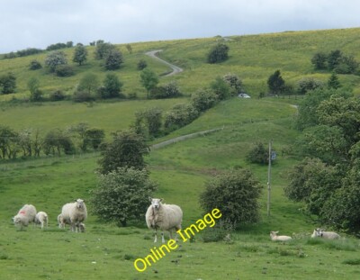 Foto 6x4 Schafe in der Nähe von Breach Farm Upper Elkstone Blick auf die grasbewachsenen Hügel i c2014