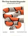 The Gray-Banded Kingsnake (Lampropeltis alterna) Herpetology Paperback 2022