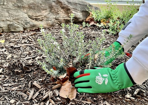 Morewell- Daisy Rose Embroidery Garden Gloves with Touchscreen Function - Picture 6 of 59